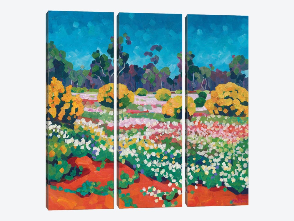 Wildflowers Out Back 3-piece Canvas Art Print