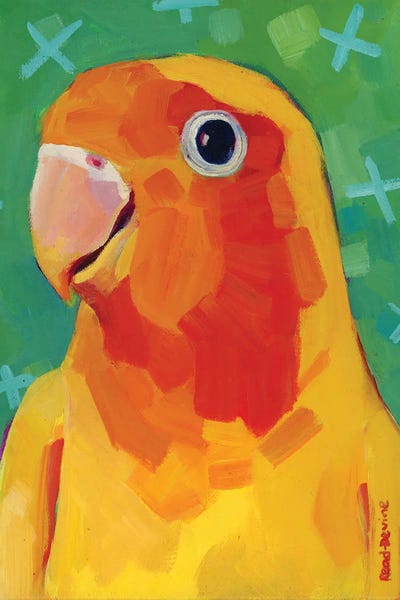 Parrots: Bonnie by Melissa Read-Devine