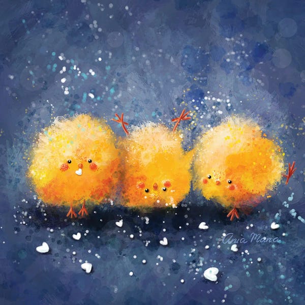 Chickens & Roosters: Funny Chicks by Ania Maria Draws