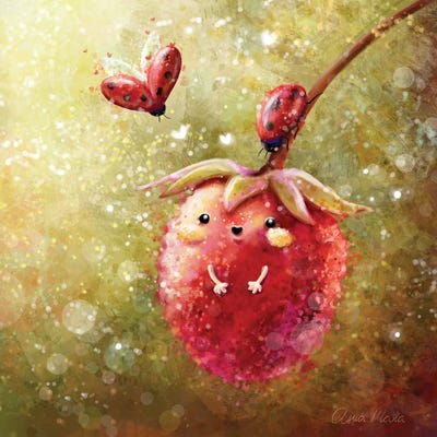 Raspberry And Friends by Ania Maria Draws canvas print