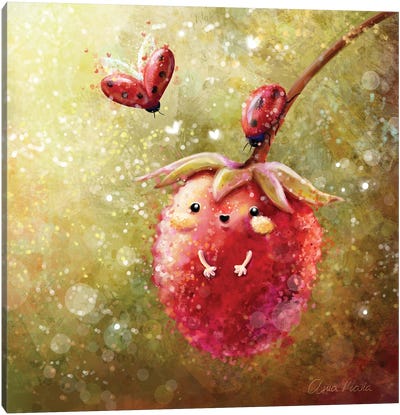 Raspberry And Friends Canvas Art Print - Ania Maria Draws