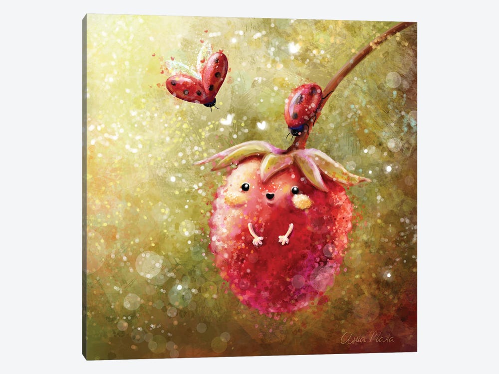 Raspberry And Friends by Ania Maria Draws 1-piece Canvas Print