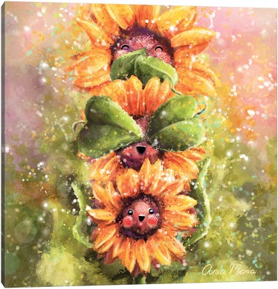 Sunflowers Wisdom Canvas Art Print - Ania Maria Draws