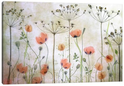 Poppy Meadow Canvas Art Print - Poppy Art