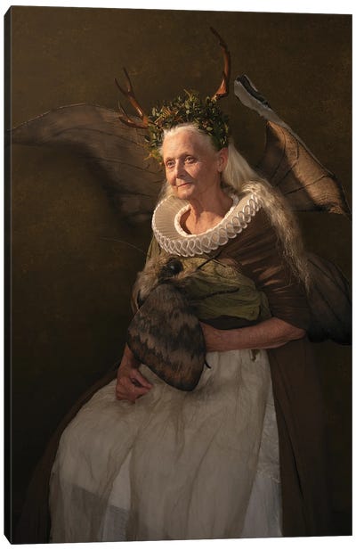 Fairy Goodmother Canvas Art Print - Michaela Durisova
