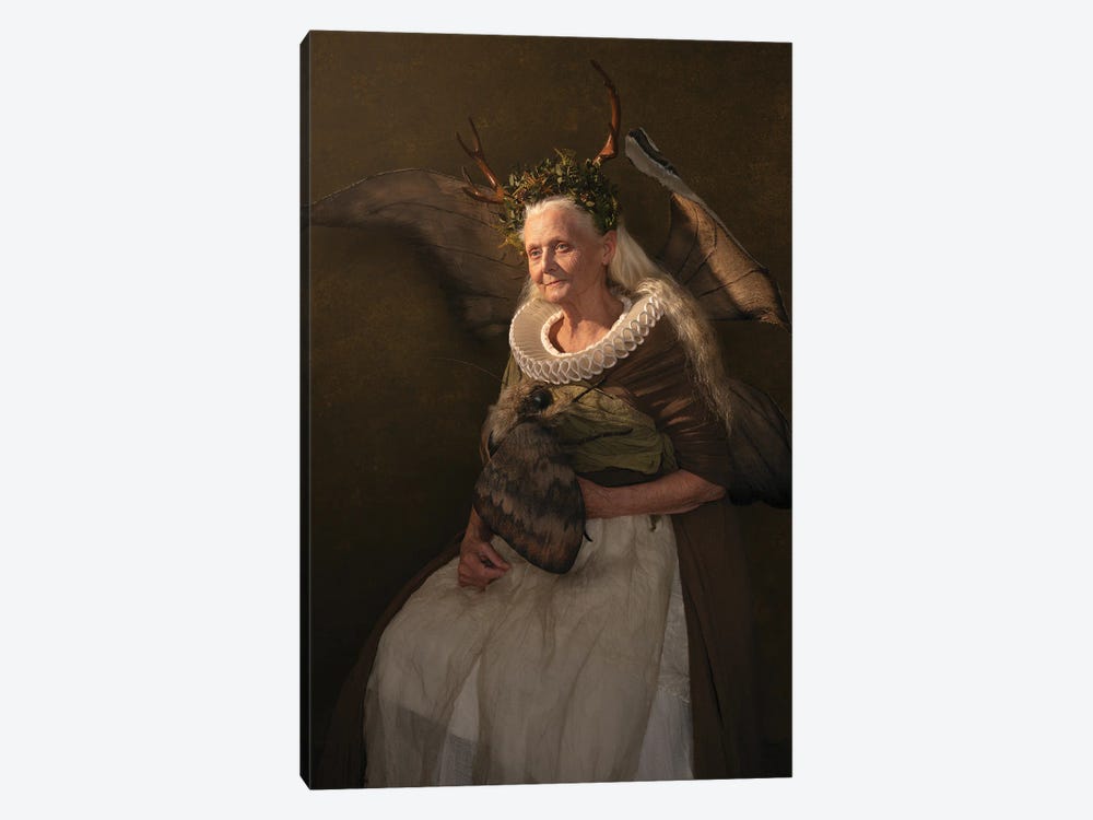 Fairy Goodmother by Michaela Durisova 1-piece Canvas Art
