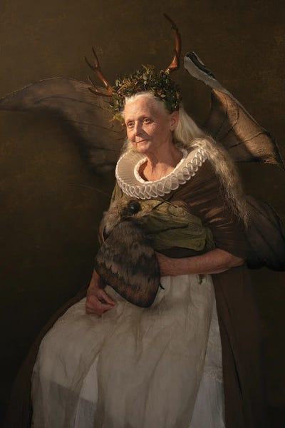 Antlers: Fairy Goodmother by Michaela Durisova