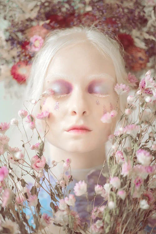Flowers by Michaela Durisova wall art
