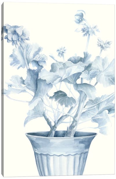 Blue Geranium II Canvas Art Print