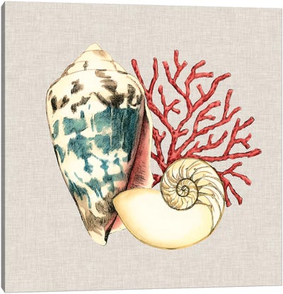 By The Seashore I Canvas Art Print - Sea Shell Art