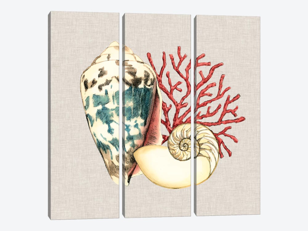 By The Seashore I by Megan Meagher 3-piece Canvas Art