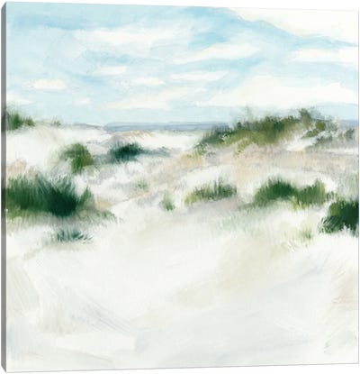 White Sands I Canvas Art Print