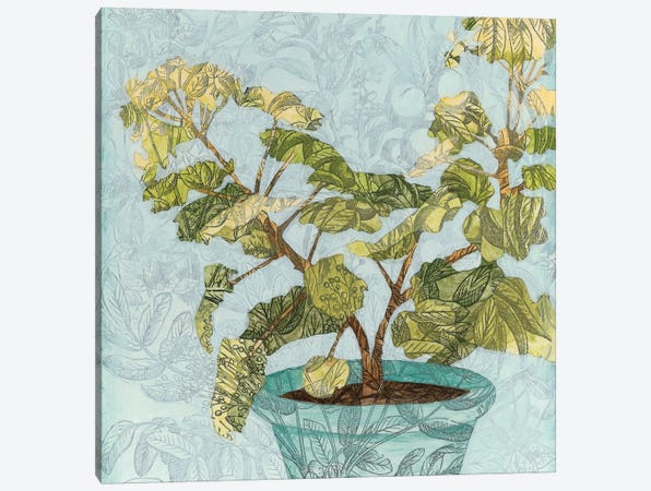 Conservatory Collage II Canvas Print #MEA29} by Megan Meagher Art Print