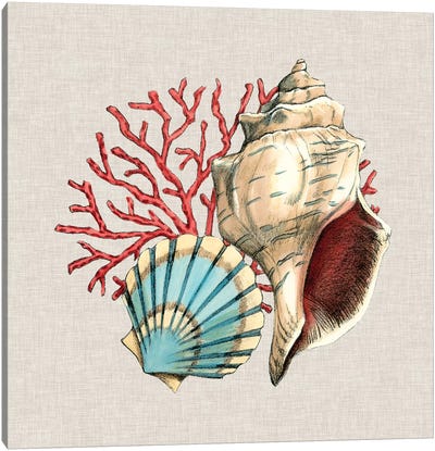 By The Seashore II Canvas Art Print - Sea Shell Art