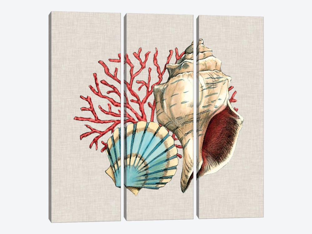 By The Seashore II by Megan Meagher 3-piece Art Print