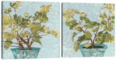 Conservatory Collage Diptych Canvas Art Print