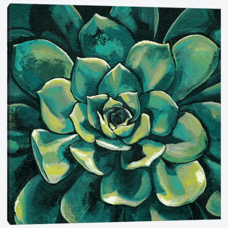 Succulent Bloom I Canvas Print #MEA42} by Megan Meagher Canvas Print