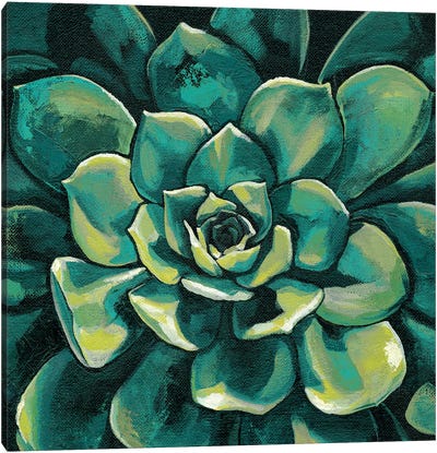 Succulent Bloom I Canvas Art Print - Megan Meagher