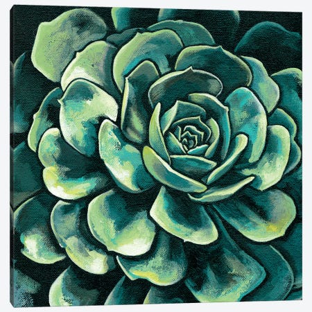 Succulent Bloom II Canvas Print #MEA43} by Megan Meagher Canvas Print