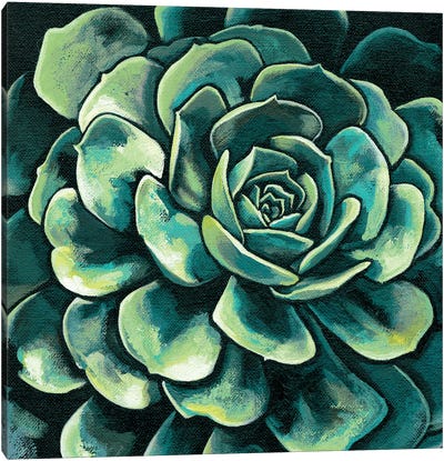 Succulent Bloom II Canvas Art Print - Megan Meagher