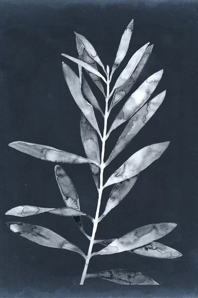 Megan Meagher: Midnight Leaves I by Megan Meagher