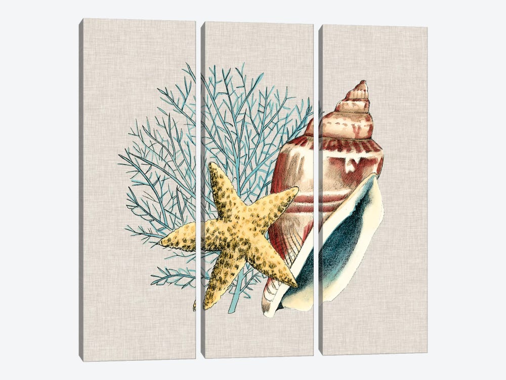 By The Seashore IV by Megan Meagher 3-piece Canvas Print