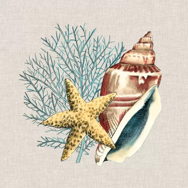 Megan Meagher: By The Seashore IV by Megan Meagher