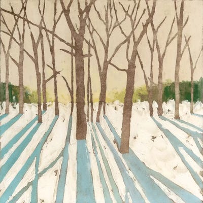 Winter Shadows I by Megan Meagher metal wall art