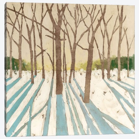 Winter Shadows I Canvas Print #MEA52} by Megan Meagher Canvas Art