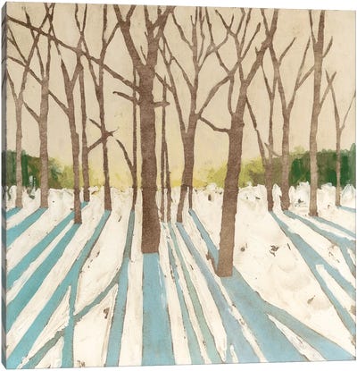 Winter Shadows I Canvas Art Print - Megan Meagher