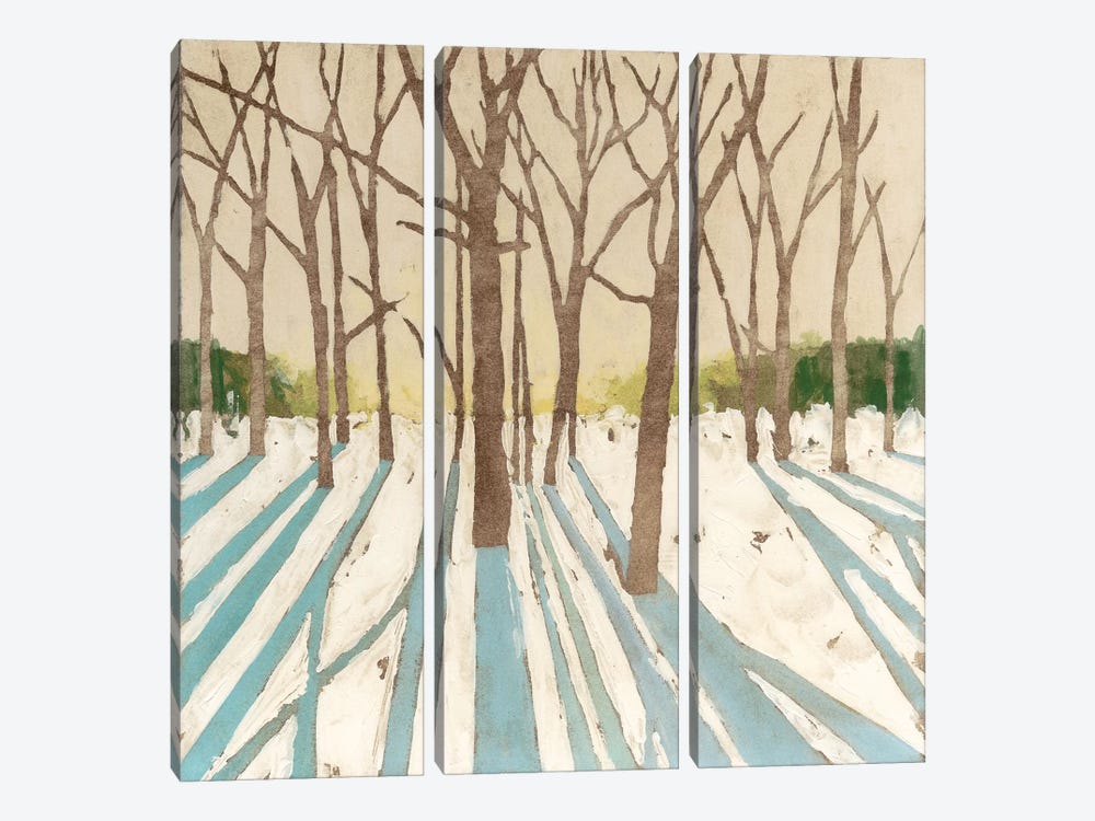 Winter Shadows I by Megan Meagher 3-piece Canvas Print