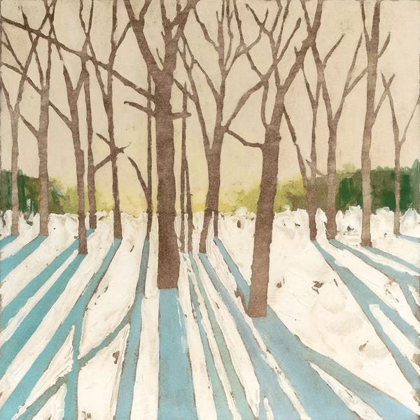 Megan Meagher: Winter Shadows I by Megan Meagher