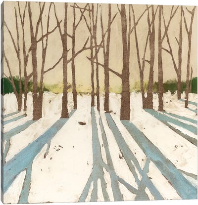 Winter Shadows II Canvas Art Print
