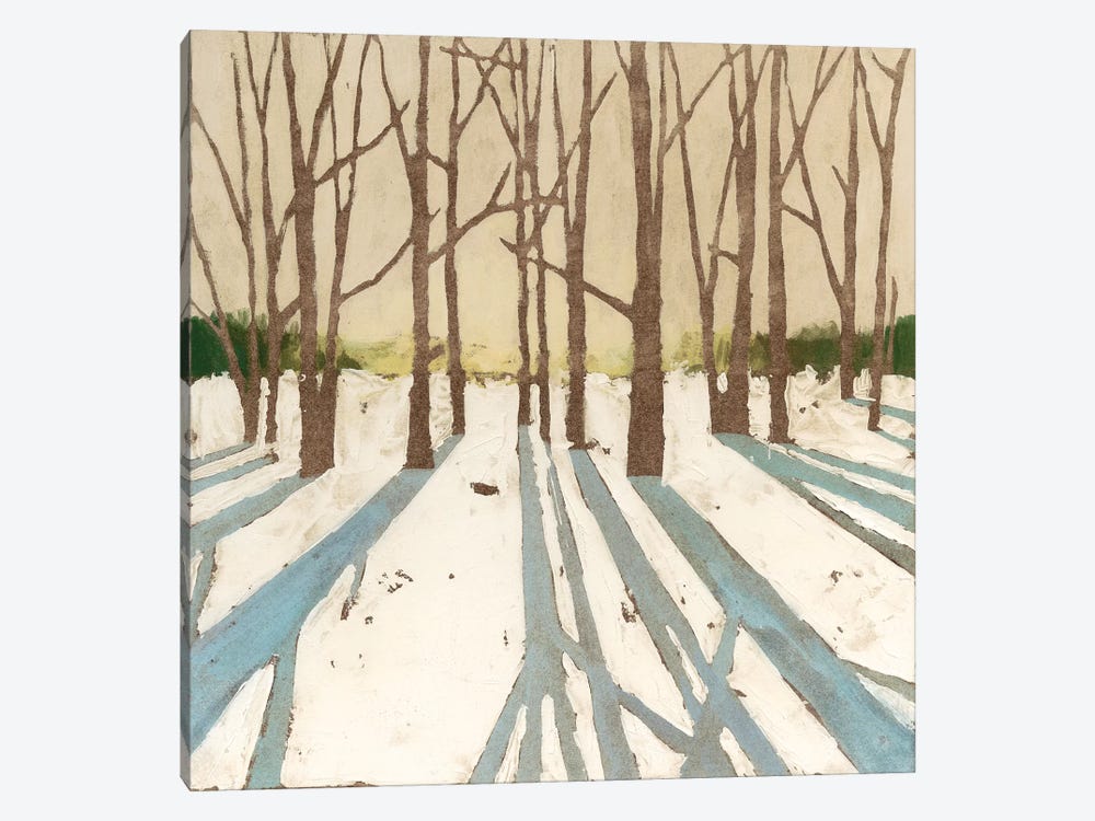 Winter Shadows II by Megan Meagher 1-piece Canvas Wall Art