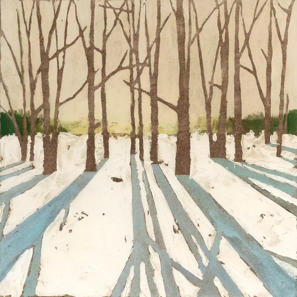 Megan Meagher: Winter Shadows II by Megan Meagher