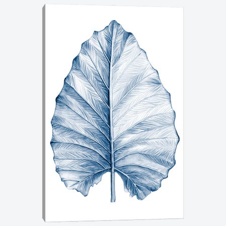 Indigo Tropical Leaves III Canvas Print #MEA57} by Megan Meagher Art Print