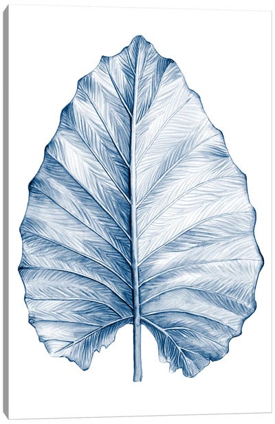 Indigo Tropical Leaves III Canvas Art Print - Megan Meagher