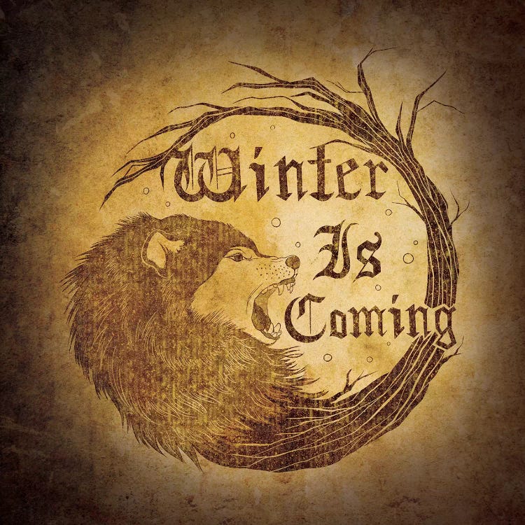 House Stark - Winter is Coming by 5by5collective wall art