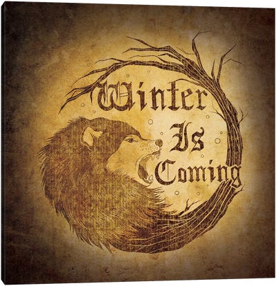 House Stark - Winter is Coming Canvas Art Print - Medieval Banners