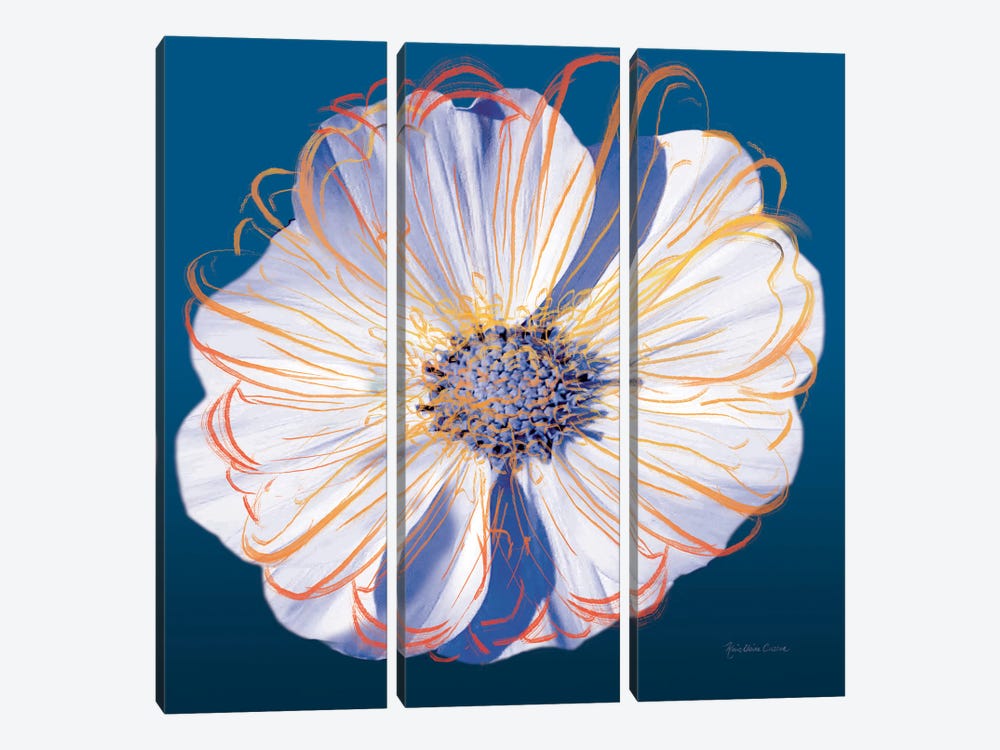 Flower Pop Pastel II by Marie Elaine Cusson 3-piece Canvas Wall Art