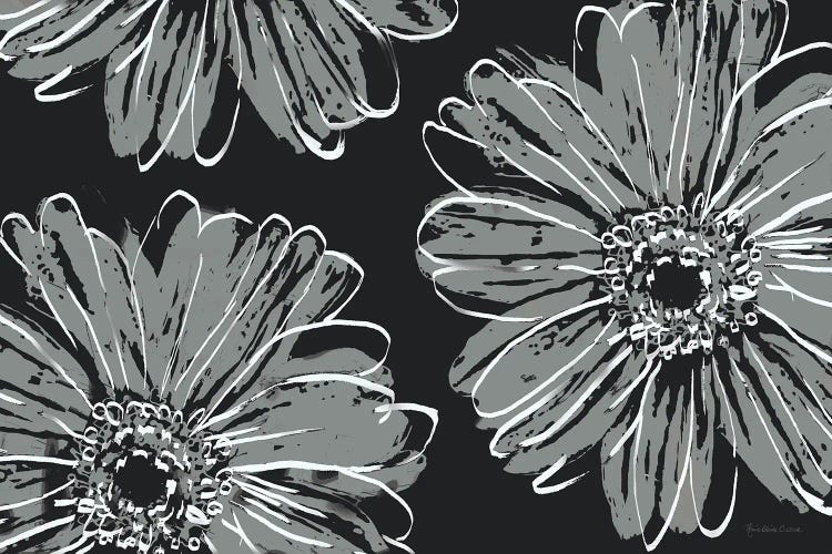 Flower Pop Sketch VII-Black BG by Marie Elaine Cusson wall art