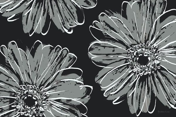 Marie-Elaine Cusson: Flower Pop Sketch VII-Black BG by Marie-Elaine Cusson