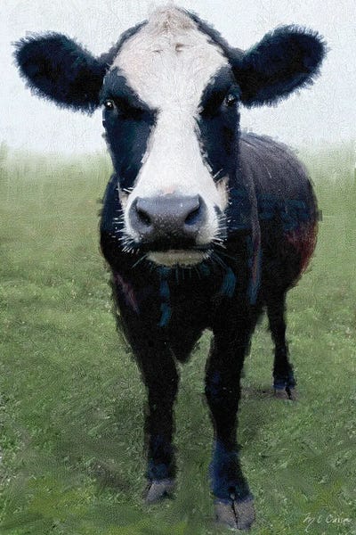 Funky Cow I by Marie-Elaine Cusson canvas print