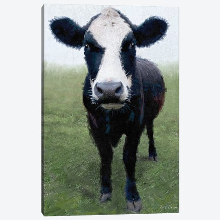 Funky Cow I Canvas Print #MEC126} by Marie Elaine Cusson Canvas Art Print