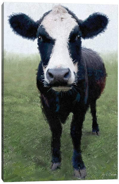 Funky Cow I Canvas Art Print - Marie-Elaine Cusson