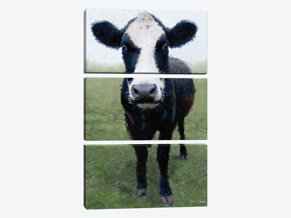 Funky Cow I by Marie Elaine Cusson 3-piece Canvas Print