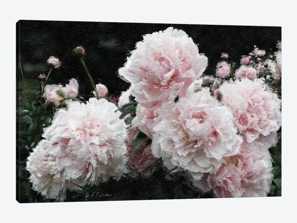 Peony Poetry I by Marie Elaine Cusson 1-piece Canvas Art Print