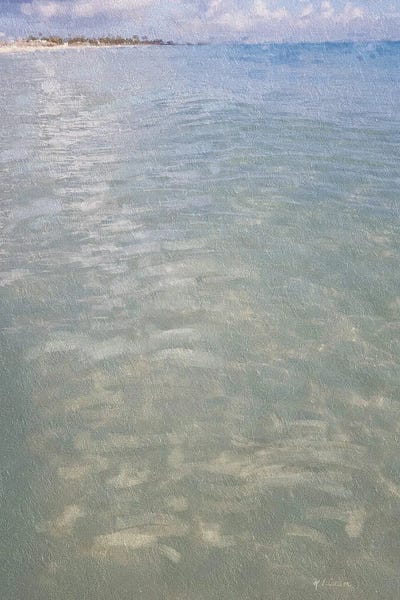 Beach Shore IX by Marie-Elaine Cusson canvas print