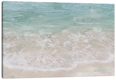 Beach Shore V Canvas Art Print