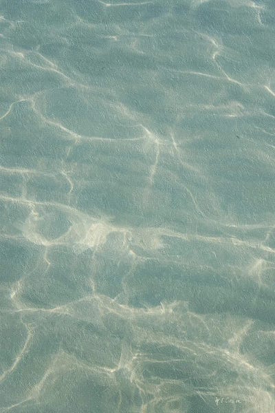 Beach Shore VII by Marie-Elaine Cusson canvas print